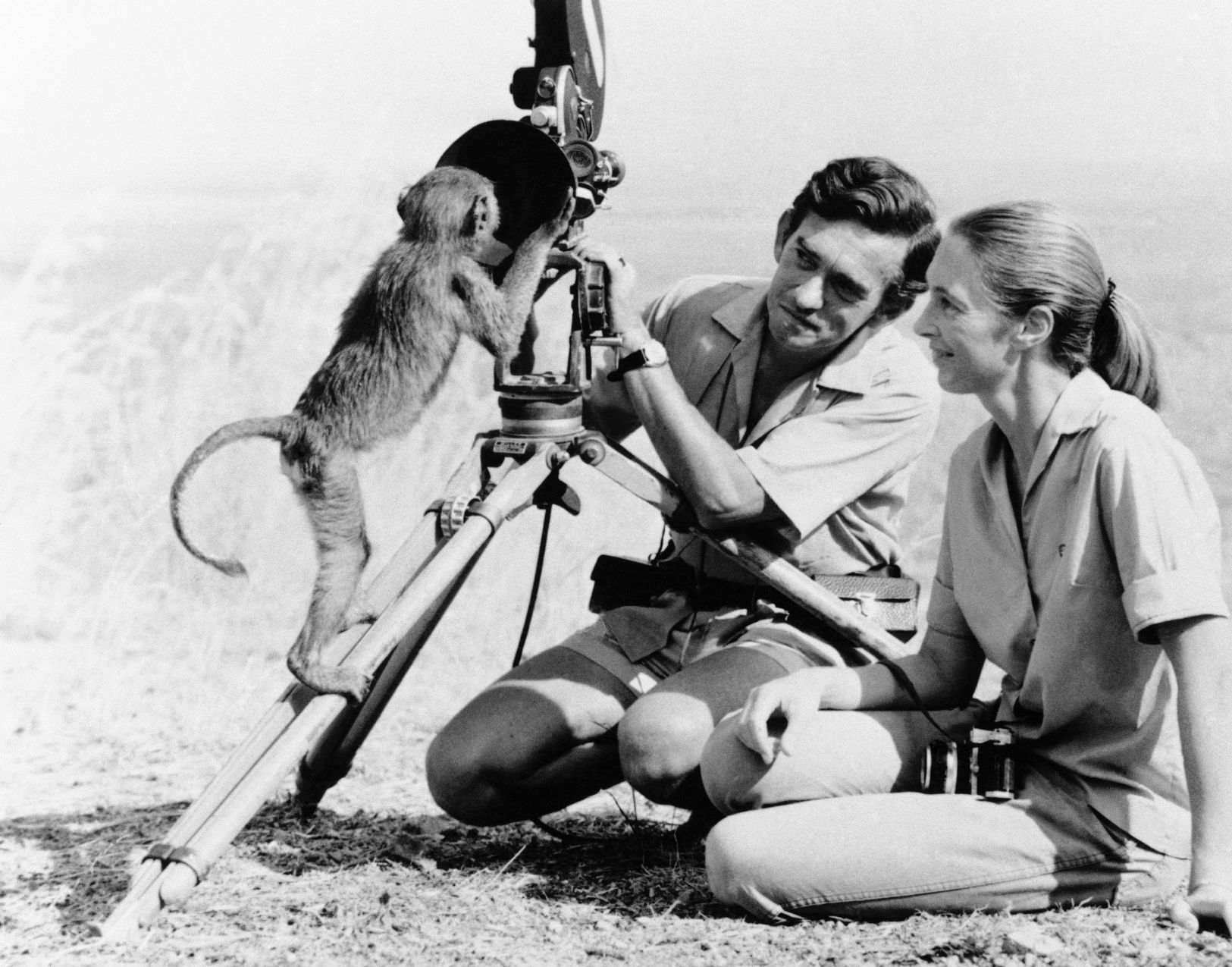 1960: Jane Goodall